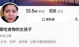 网红老师爆料视频大全最新,热点事件背后的真相与反思